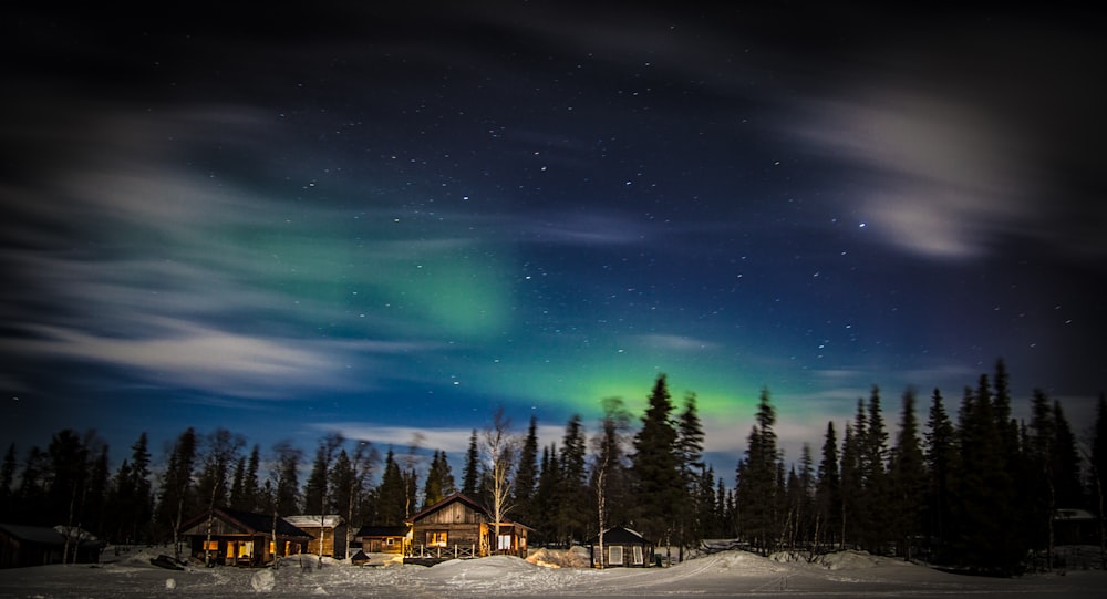 cielo verde y azul sobre campo cubierto de nieve y árboles