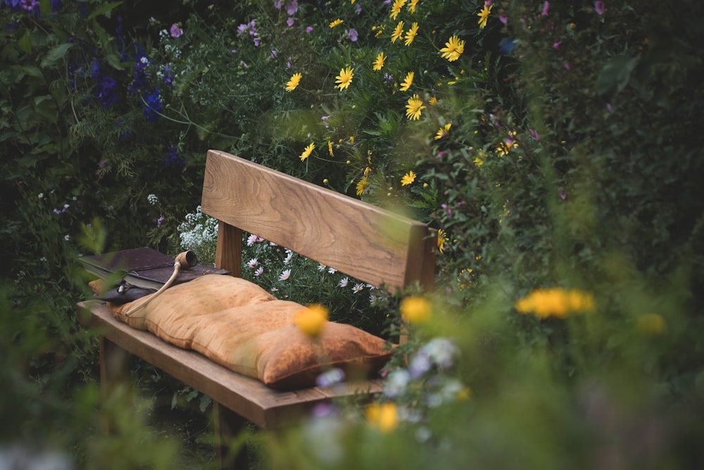 brown wooden bench with orange tabby cat on top