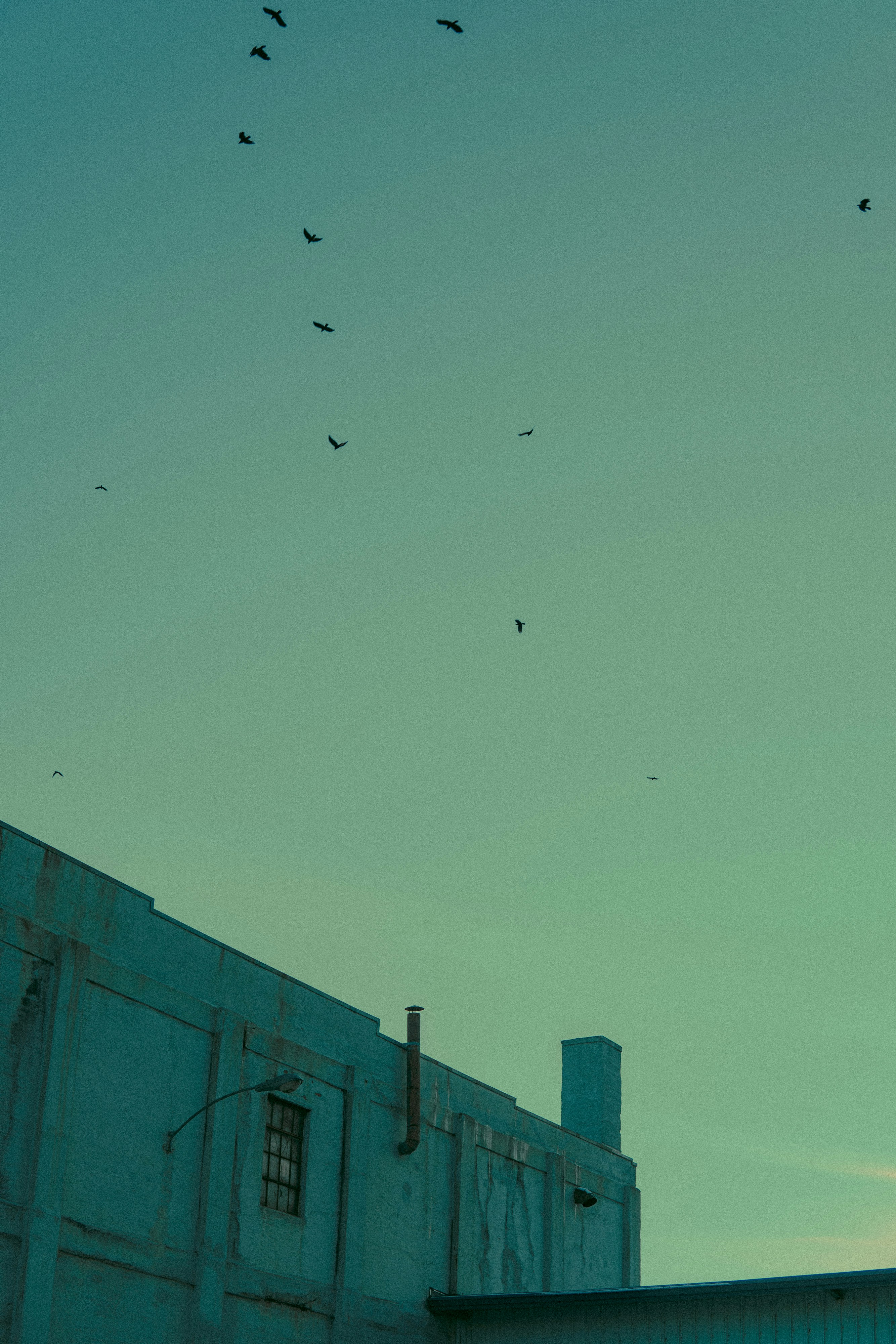 Photo by bitter_fruitt