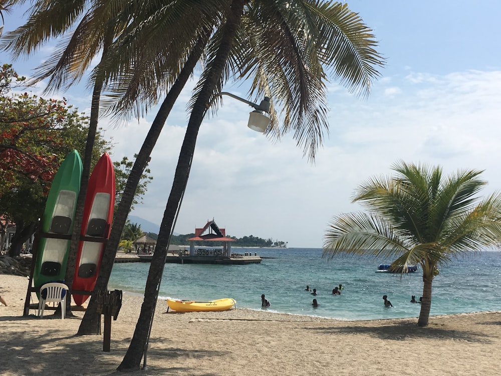 people on beach during daytime