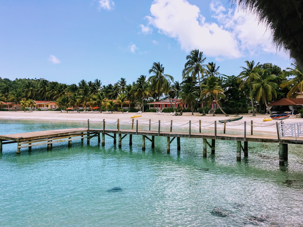 brown wooden dock on body of water during daytime