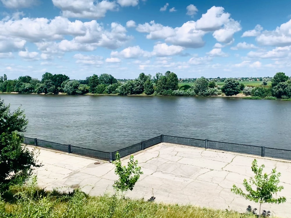 green trees beside body of water under white clouds and blue sky during daytime