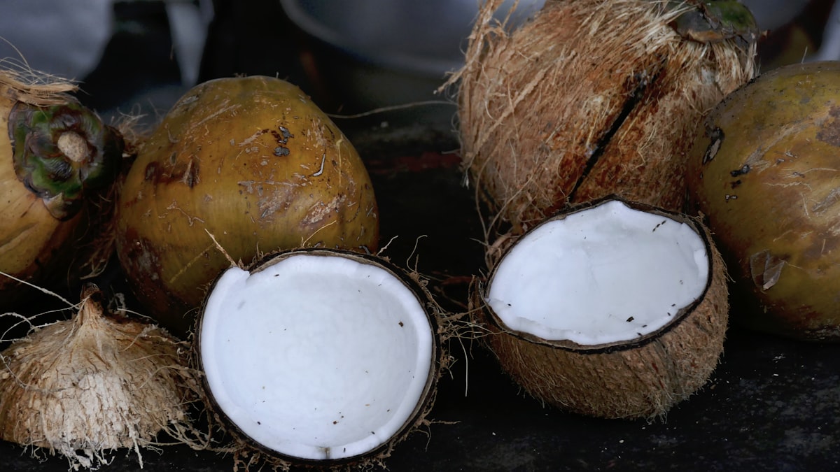 La pulpa del coco es apreciada por su sabor agradable.