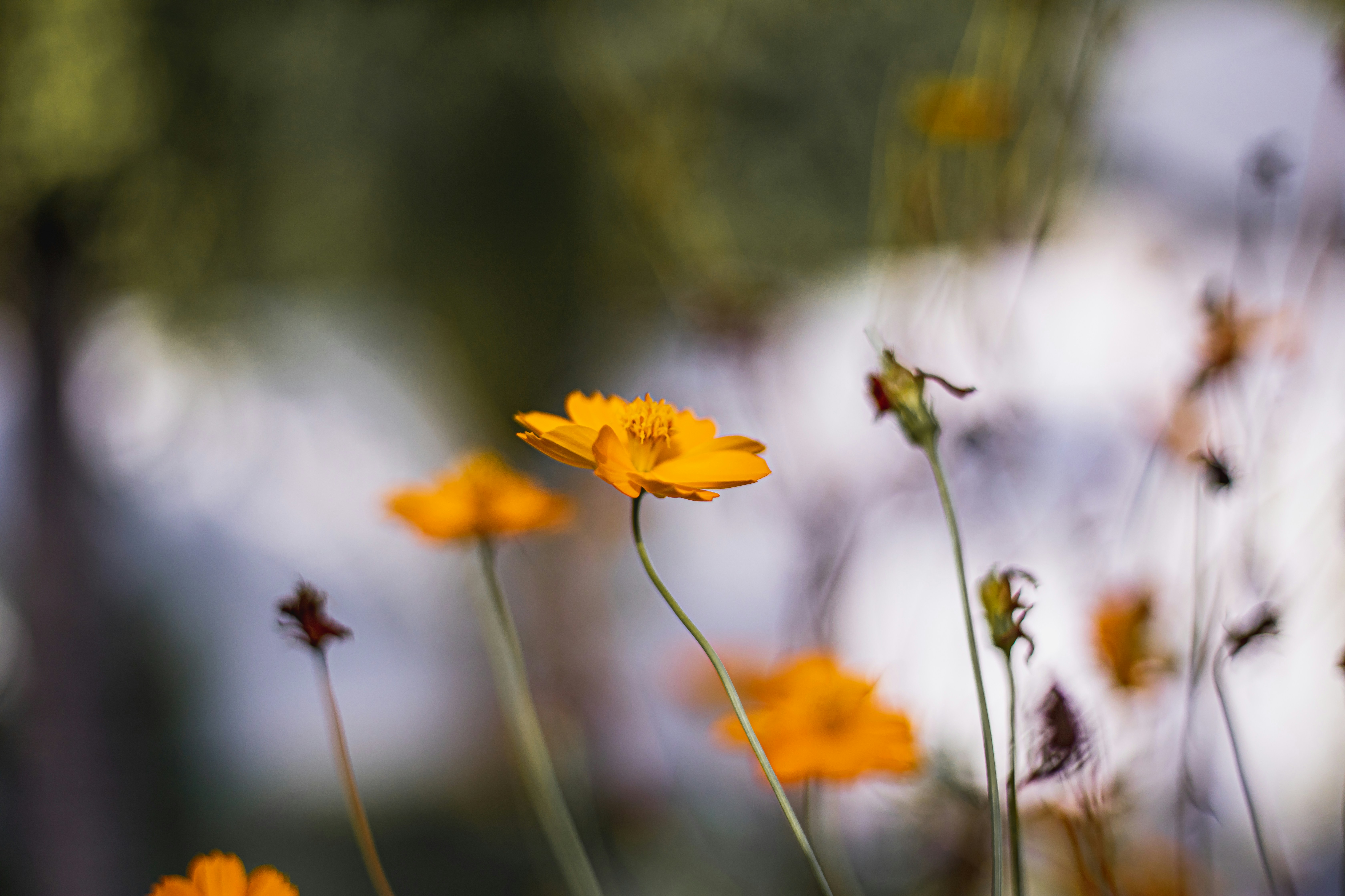 Photo by maahidphotos