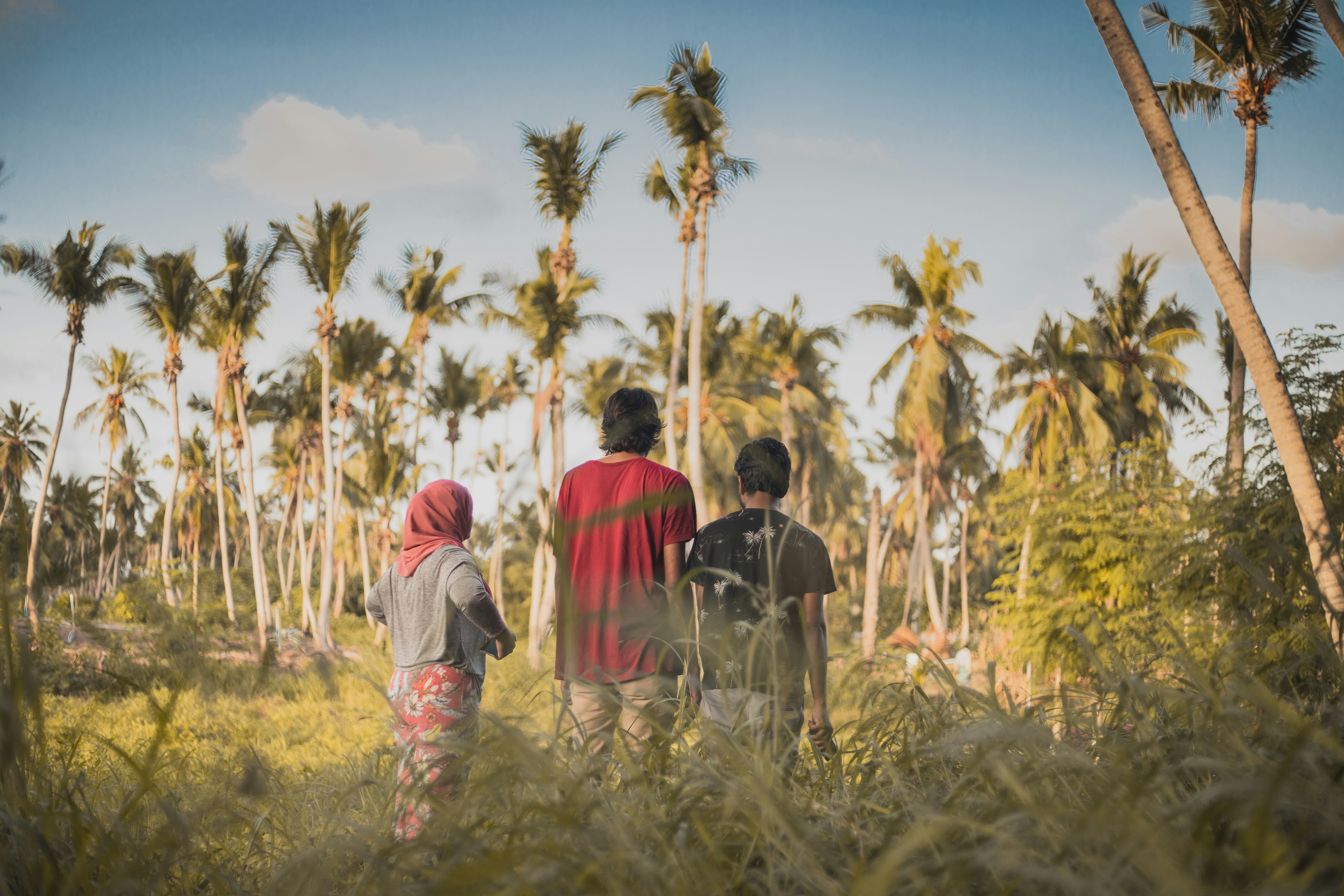 Photo by maahidphotos