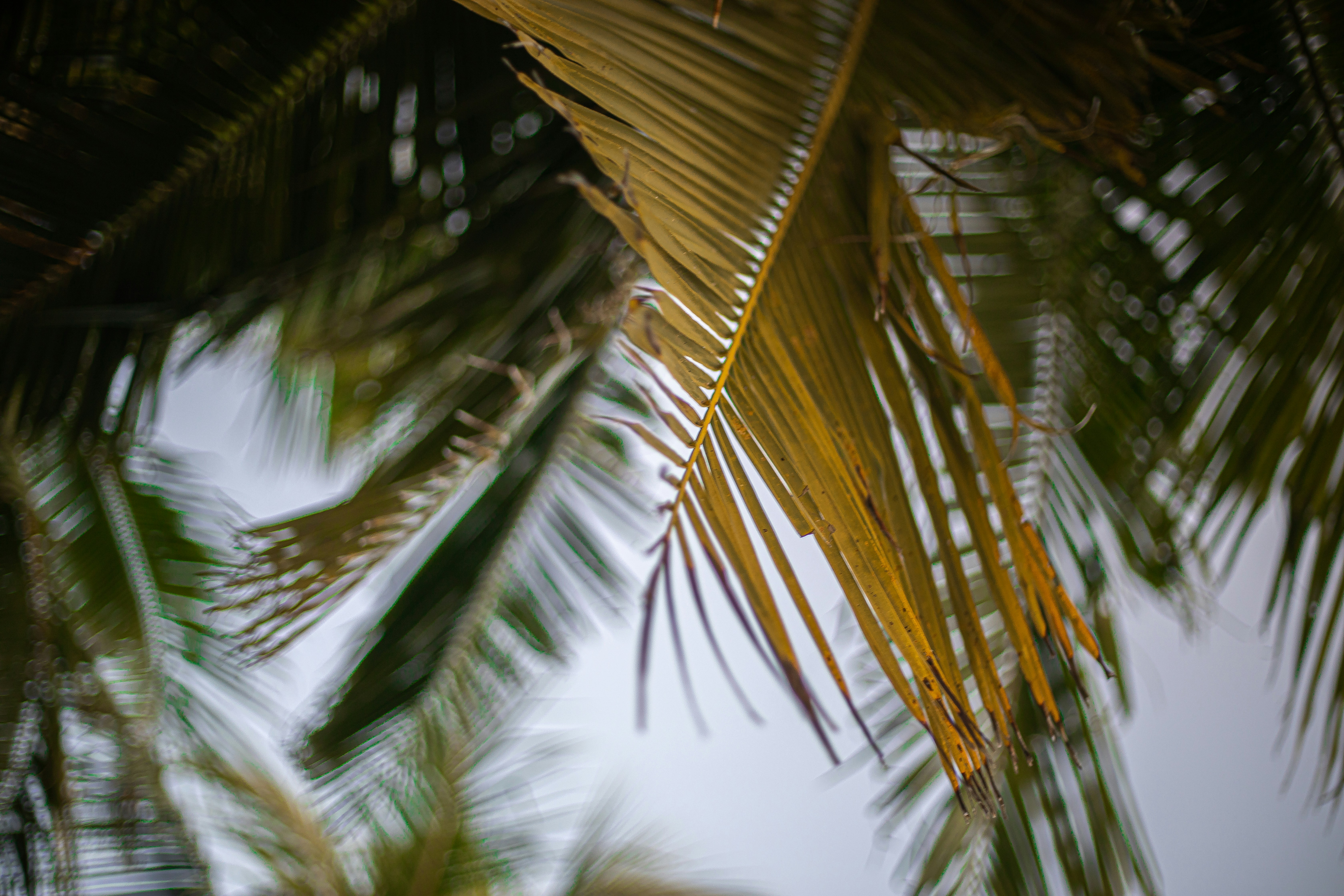 Photo by maahidphotos