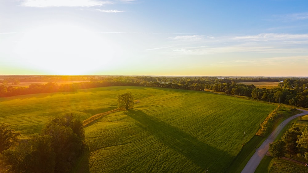 green grass field during sunset