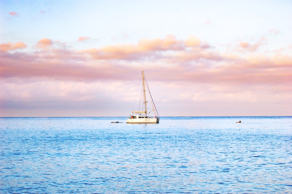 white sail boat on sea during daytime