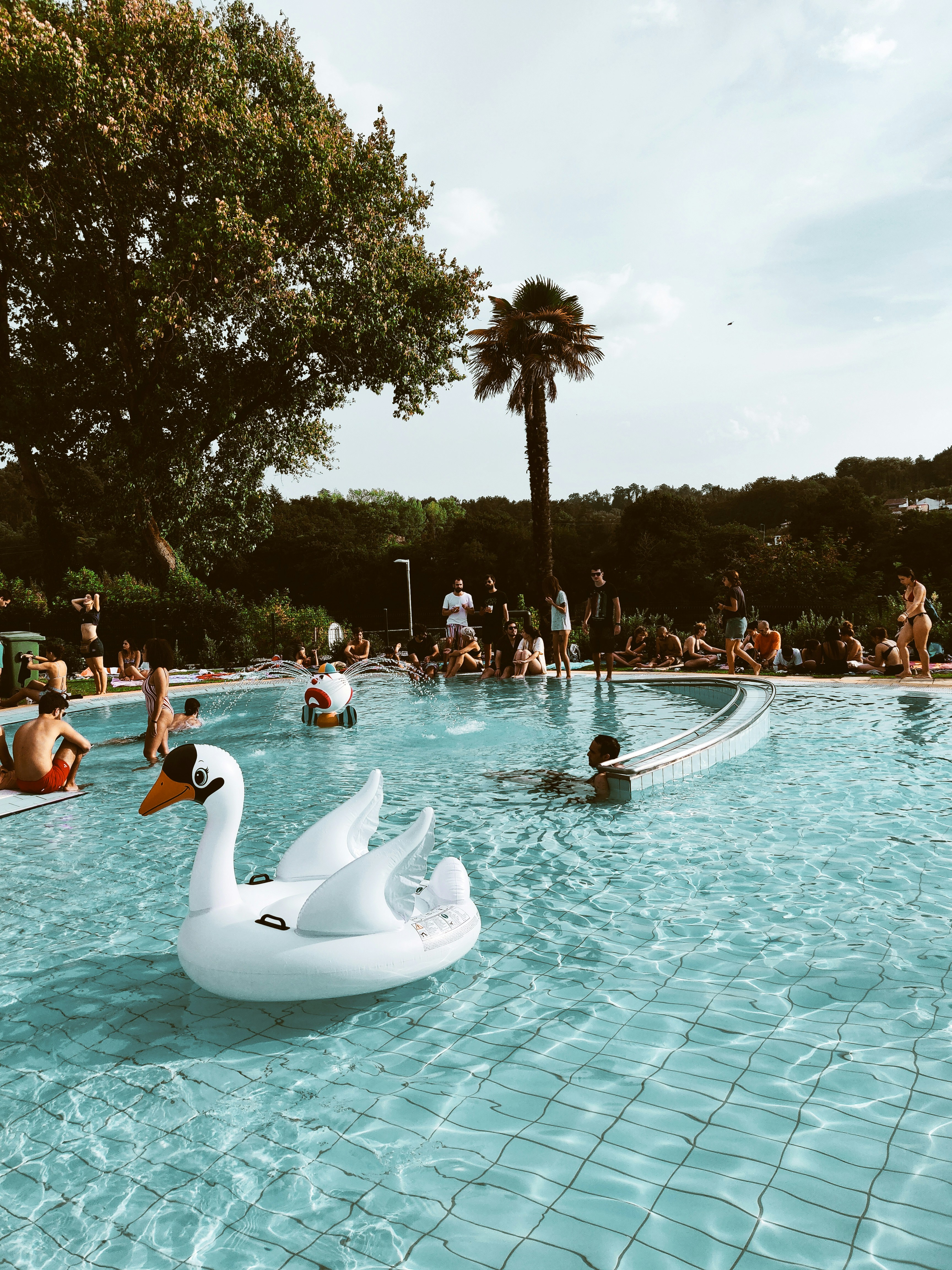 people in swimming pool during daytime