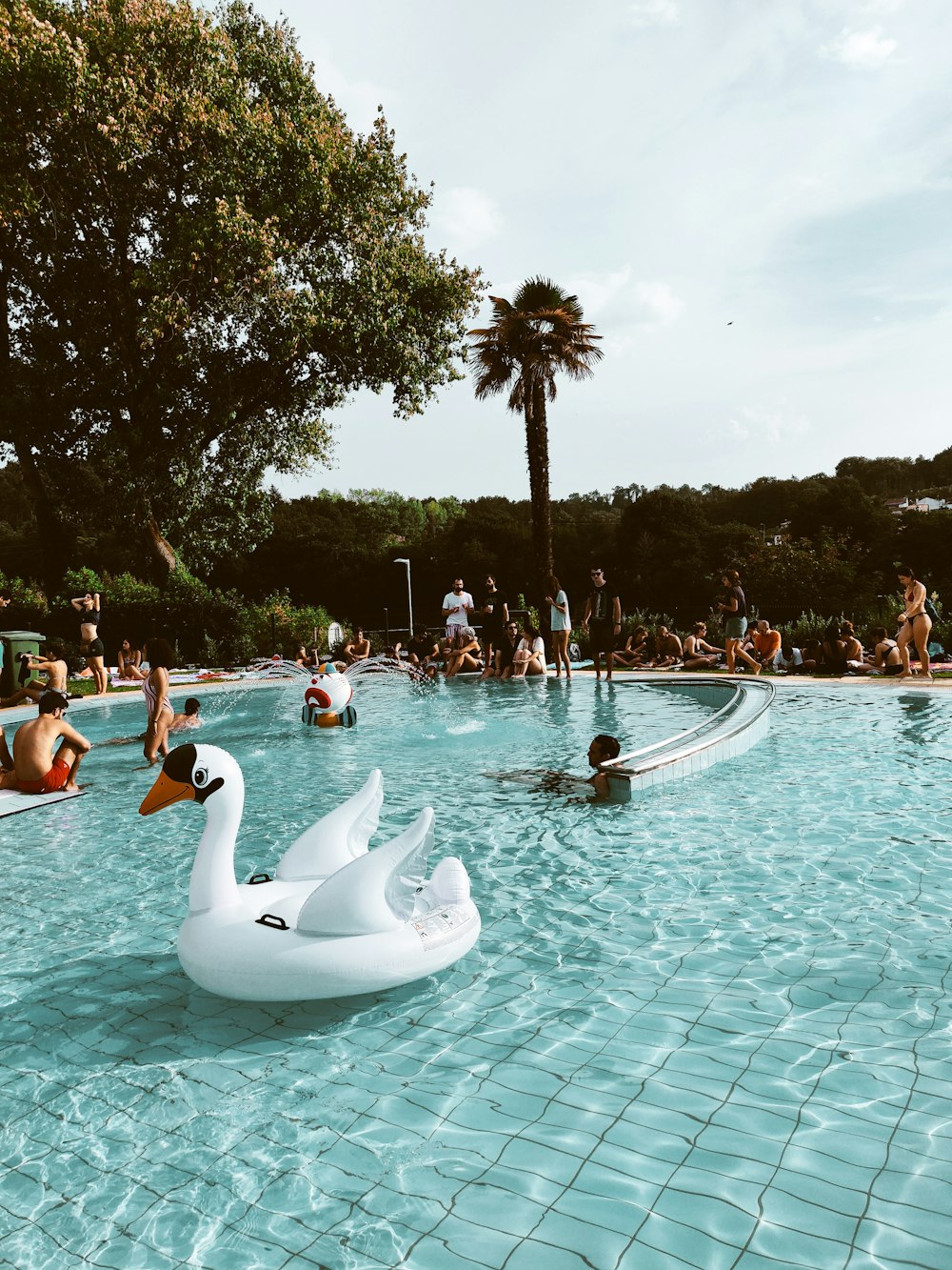 people in swimming pool during daytime