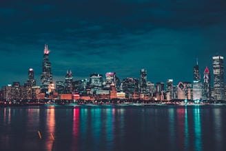 city skyline during night time