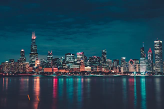 city skyline during night time
