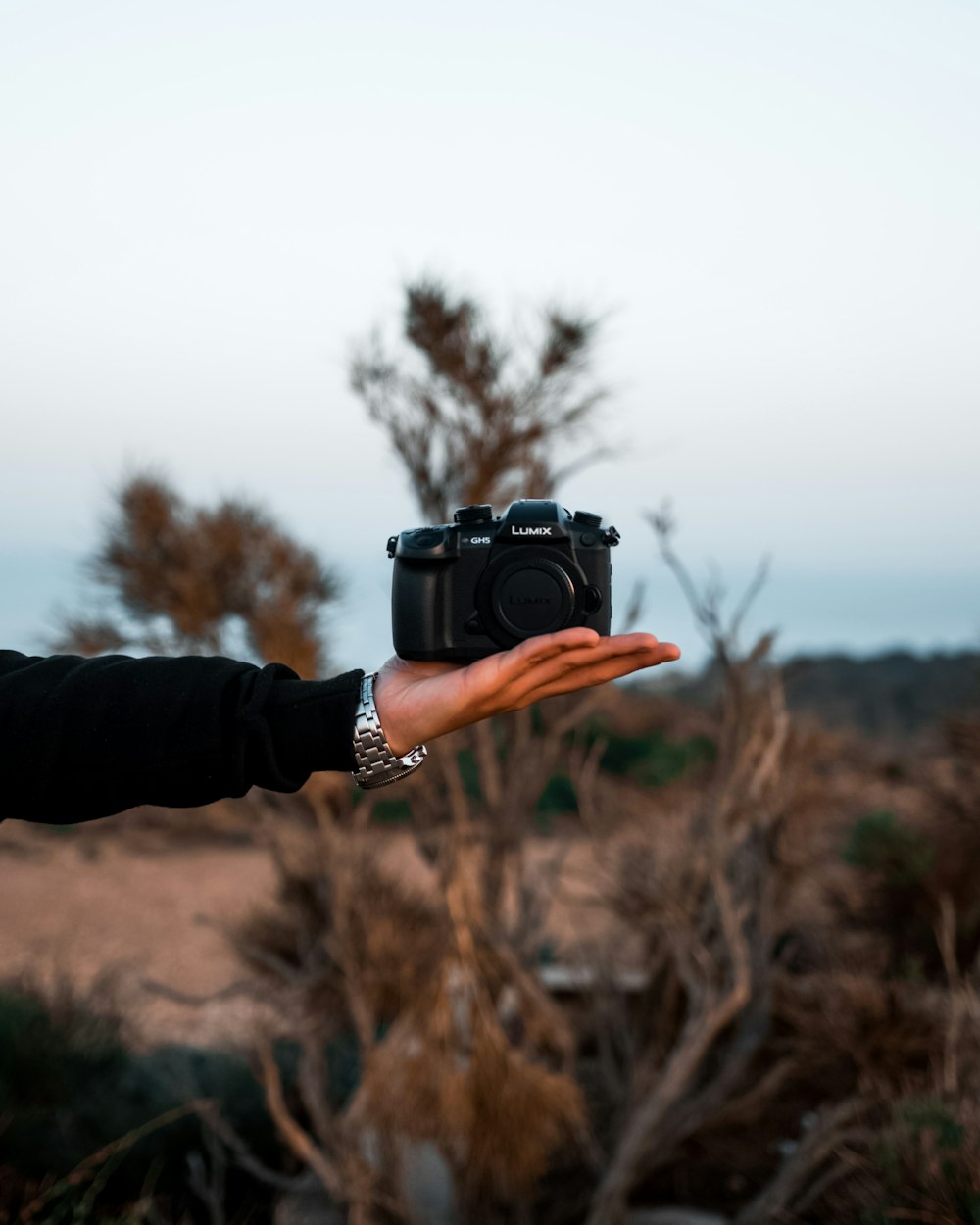 person holding black dslr camera