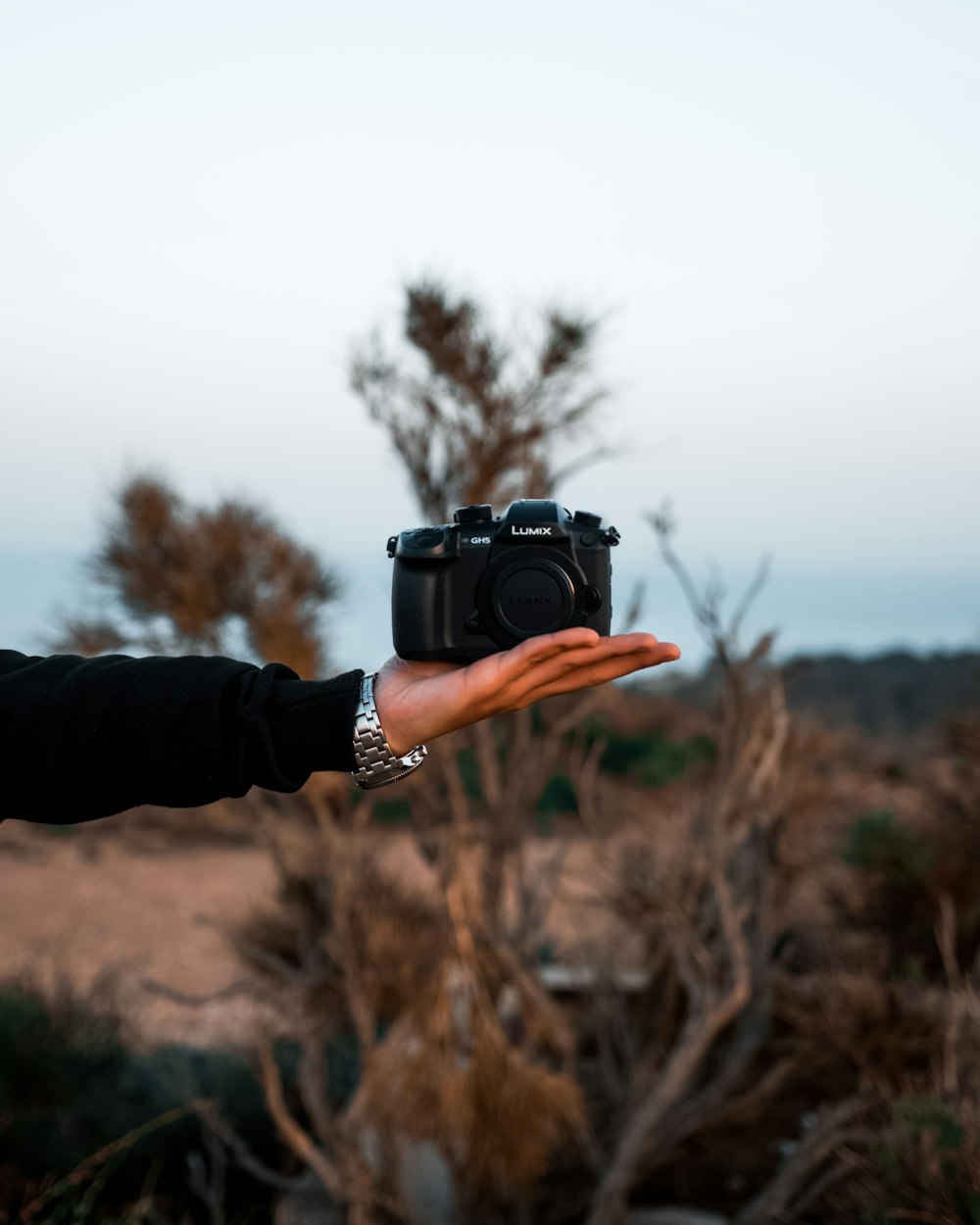 Person mit schwarzer DSLR-Kamera