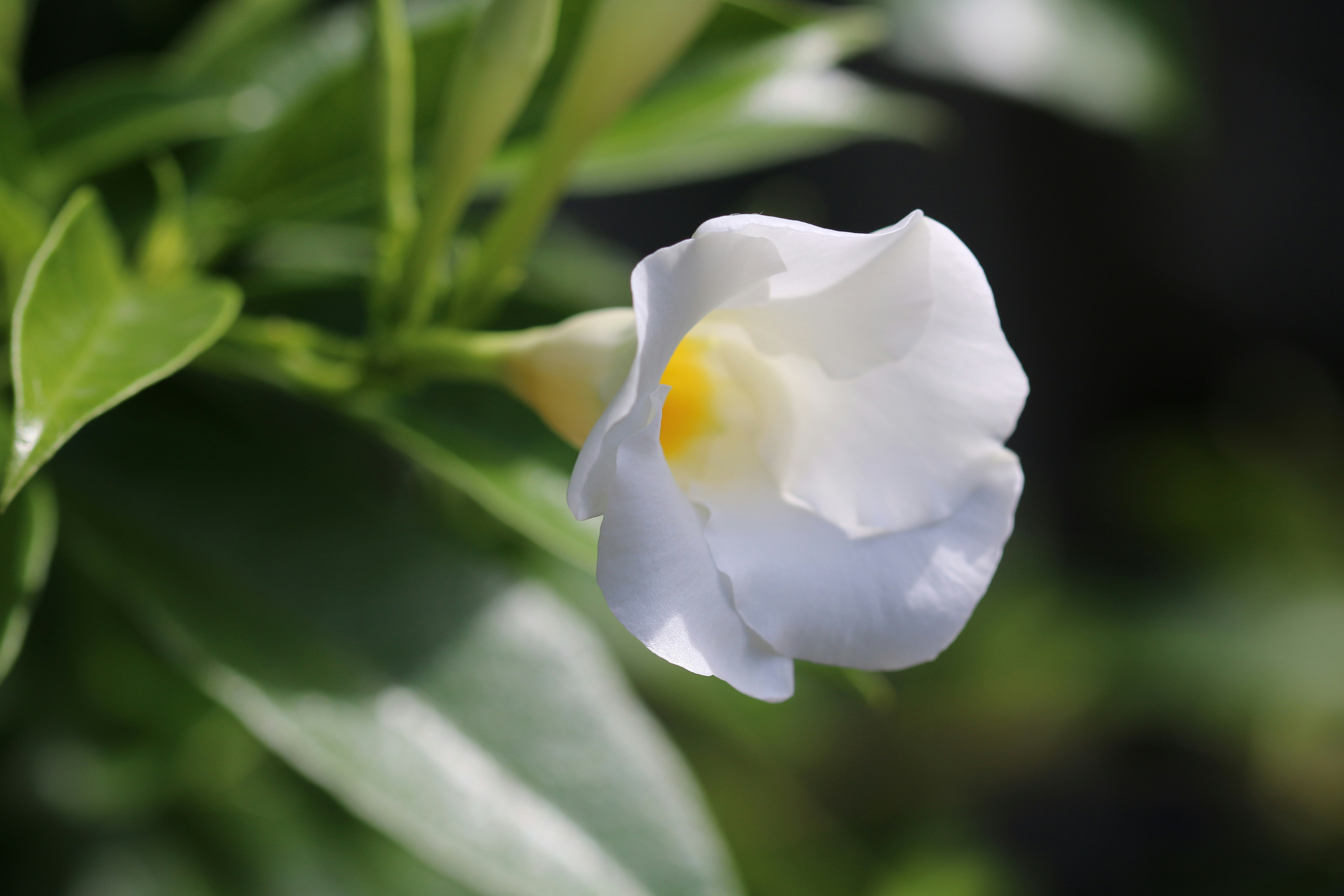 Photo by richardworks