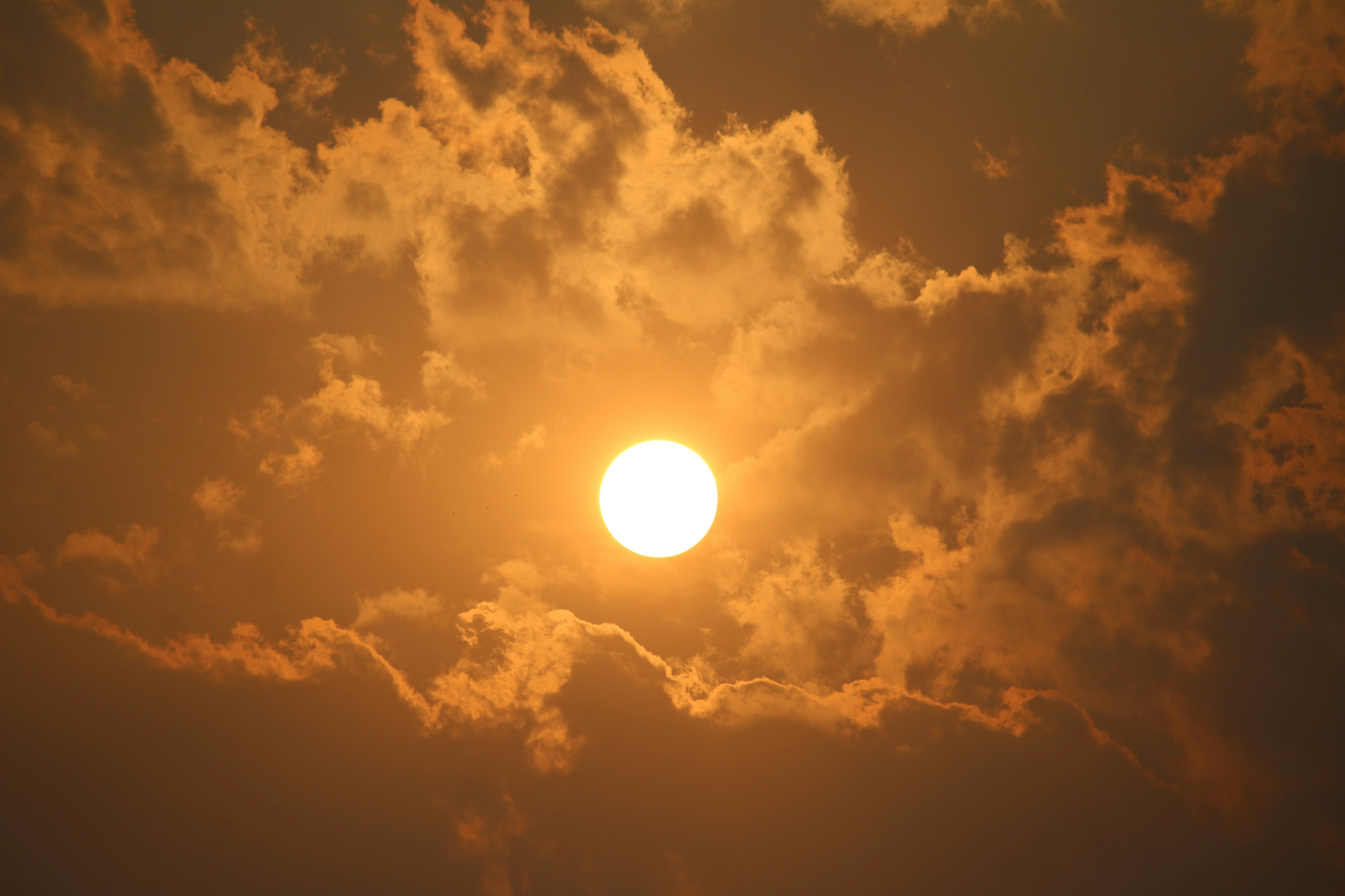 Photo by lusterphotography