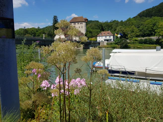 A serene riverside scene at the confluence of the Missouri and Mississippi rivers, with traditional Missouria symbols subtly integrated into the landscape.