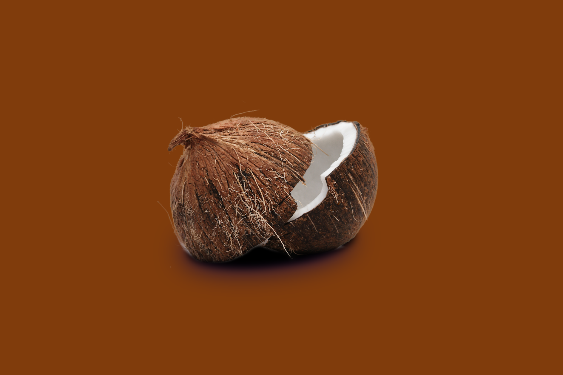 Kelapa