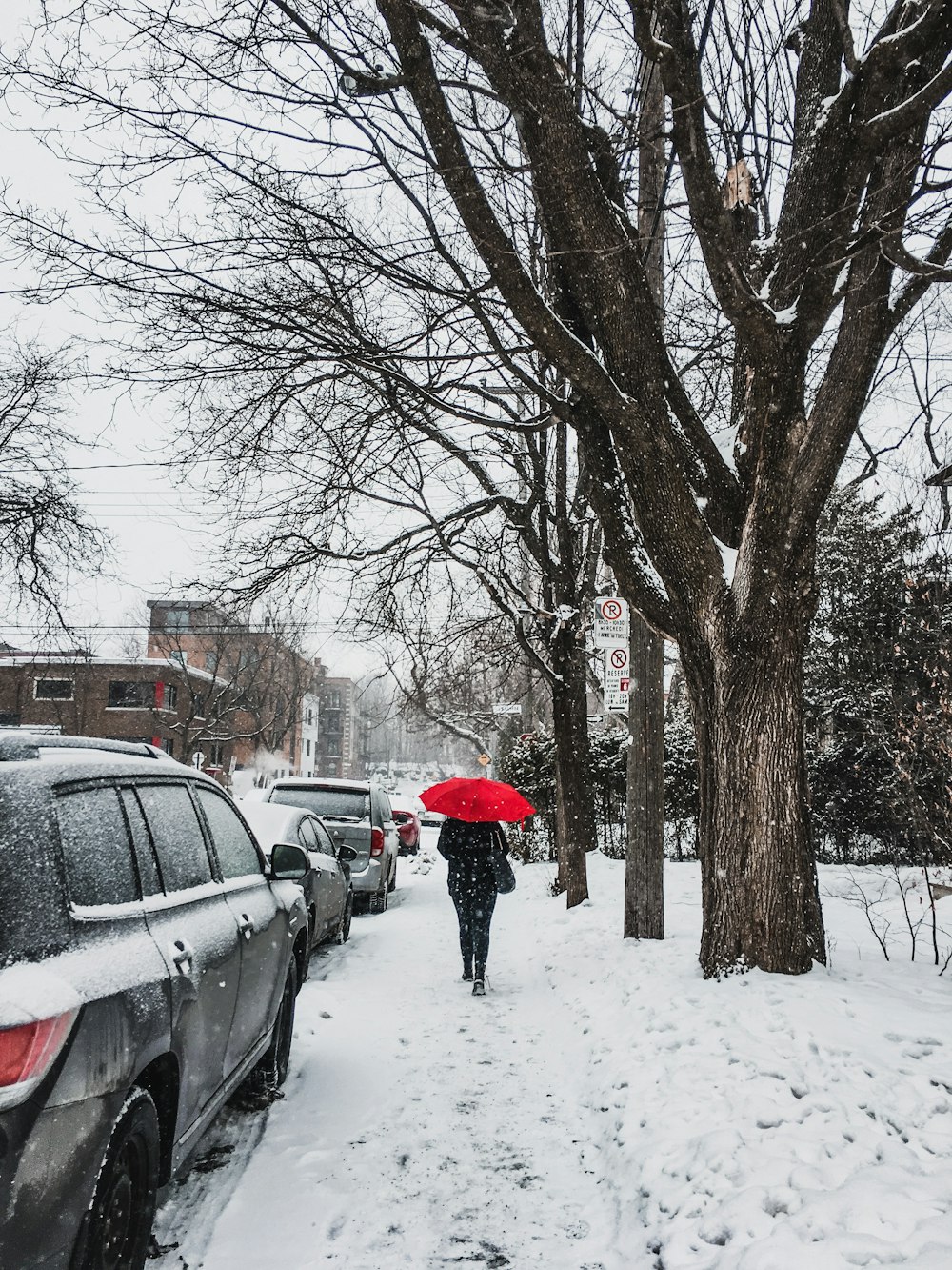 cars parked on the side of the road during winter