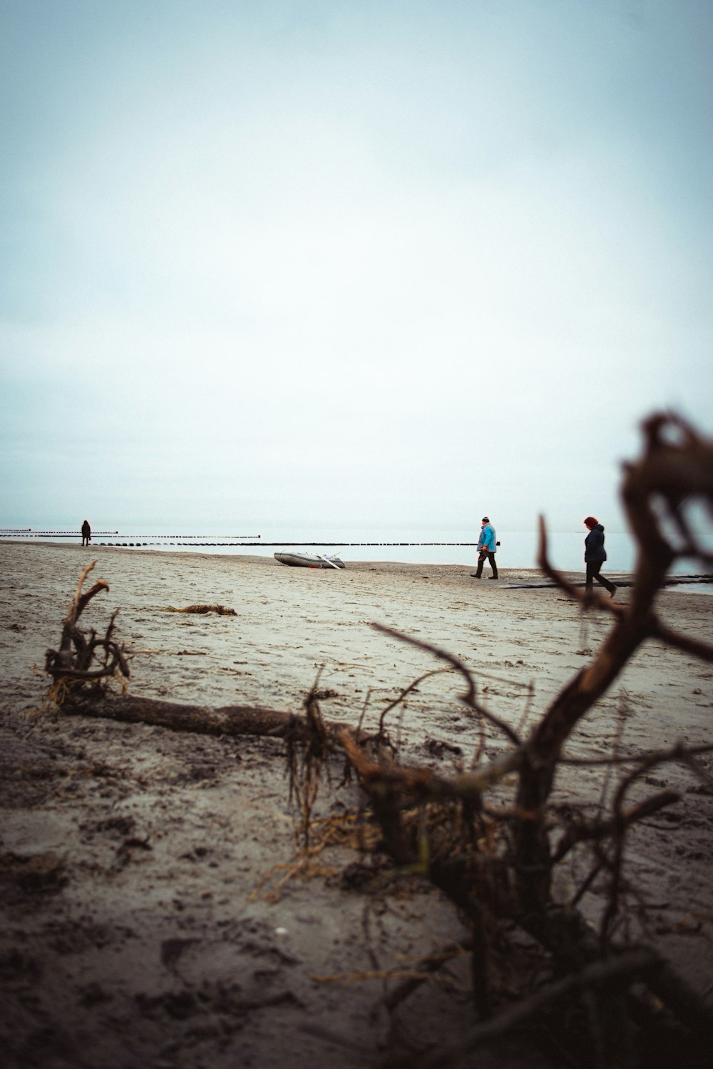 people on beach during daytime