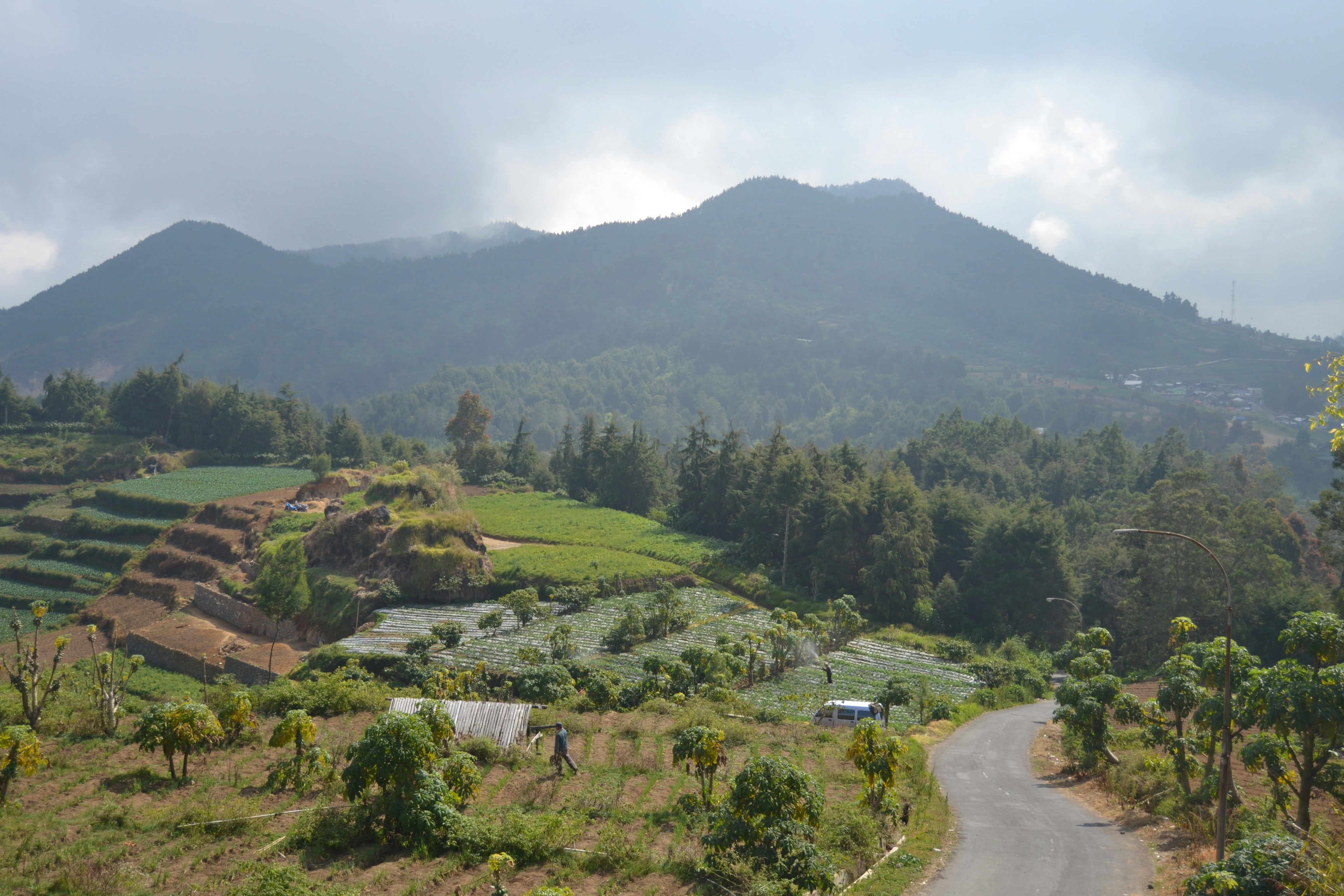 Photo by rifdahfajri