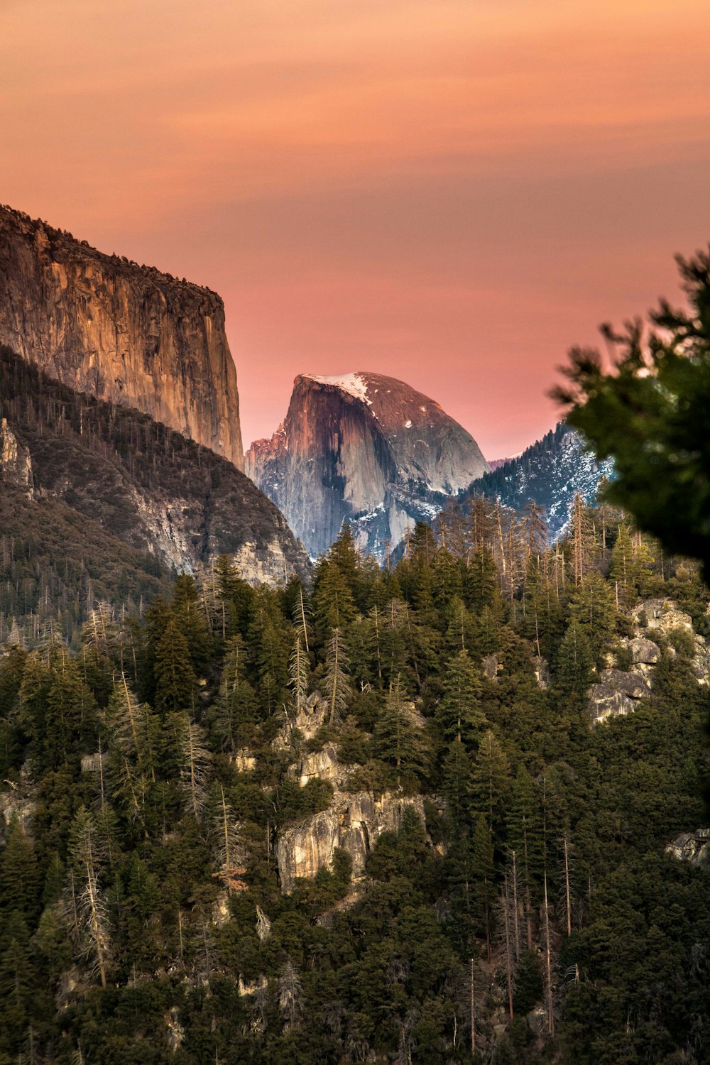 green pine trees near brown rocky mountain during daytime