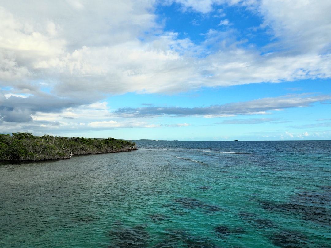 green and brown island under blue sky and white clouds during daytime, La Parguera