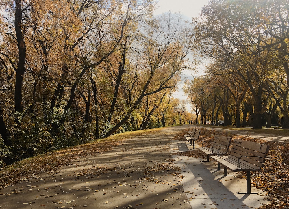 banc en bois marron sur un chemin de terre brun