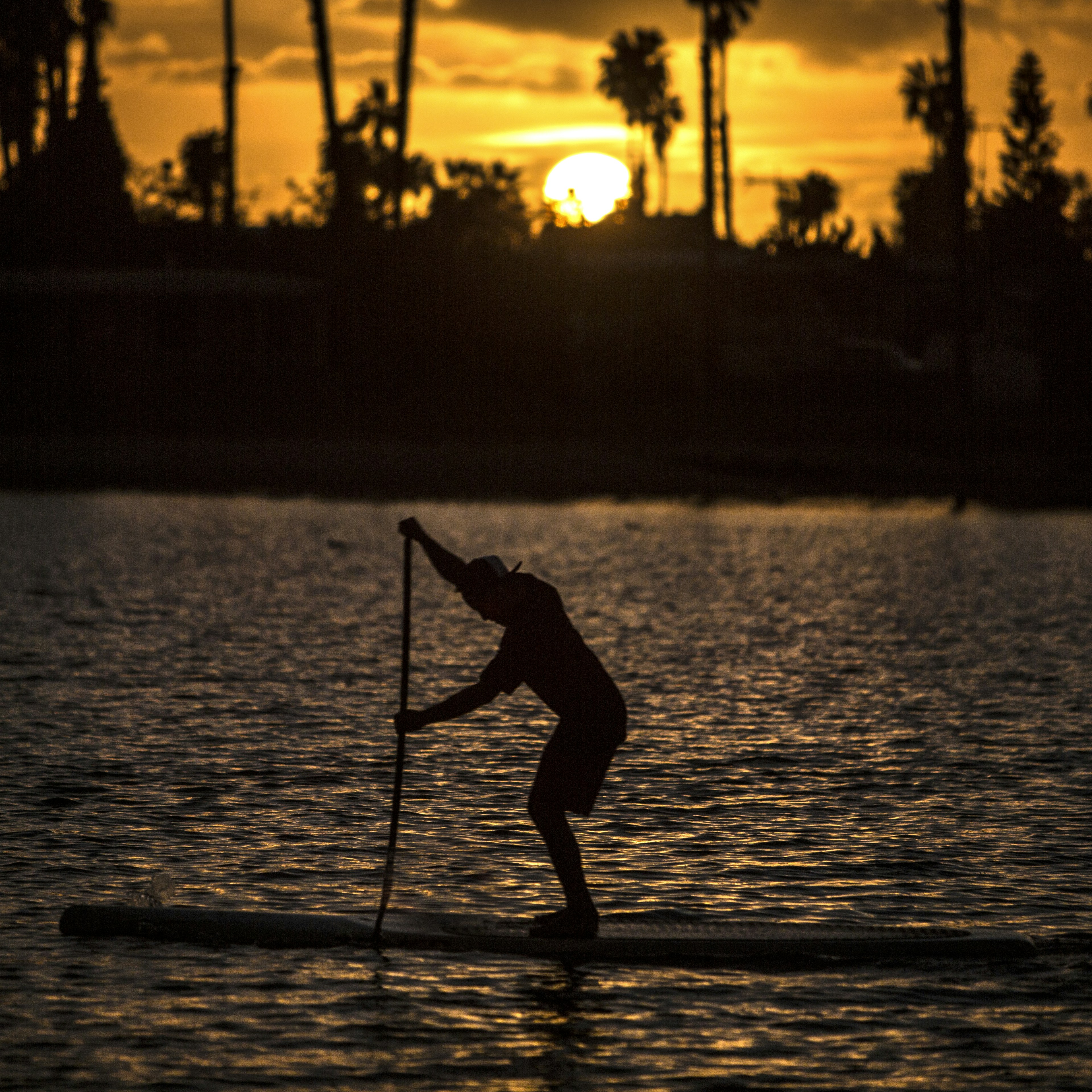 Photo by tower_paddle_boards