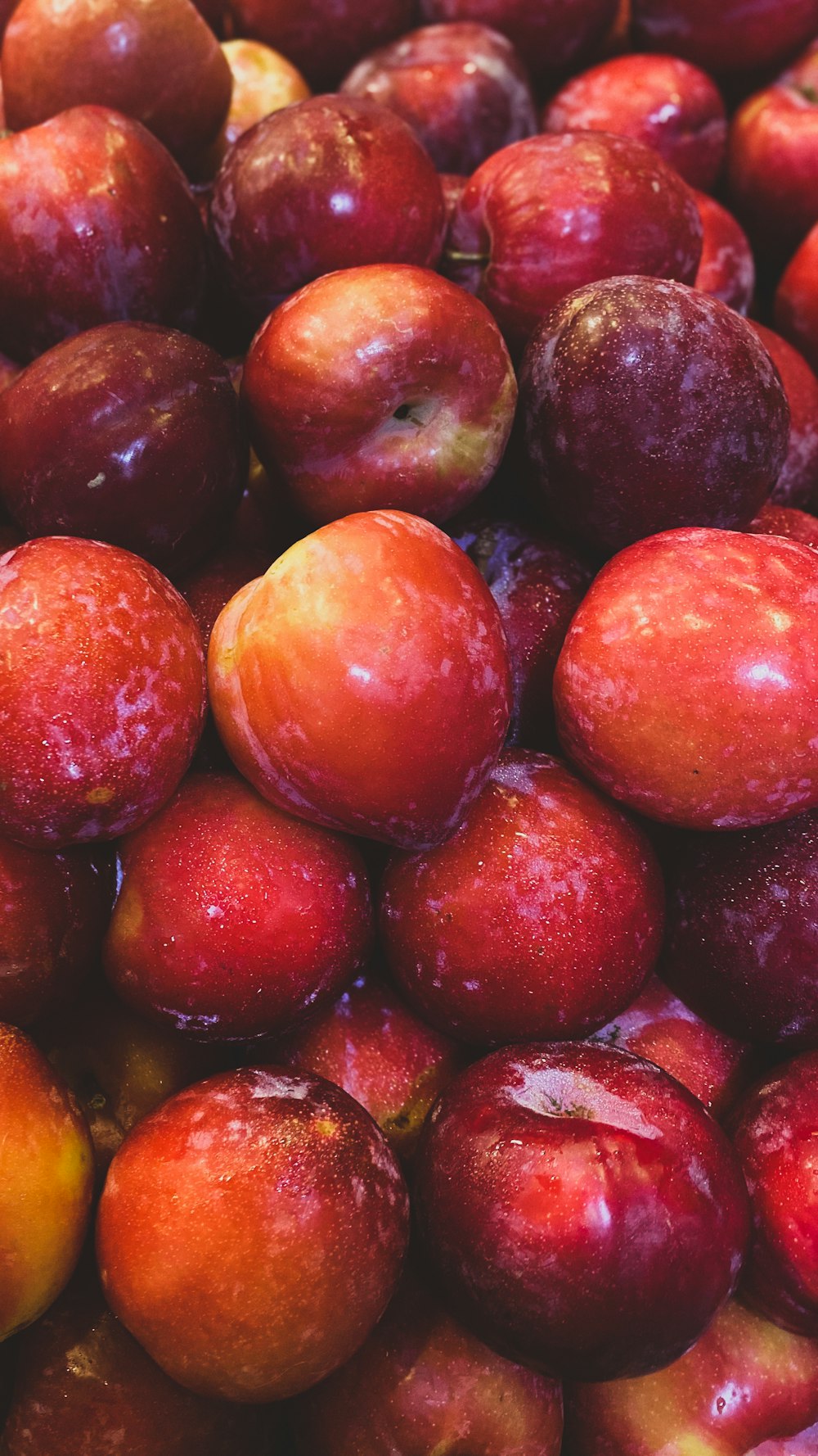 frutos de maçã vermelha e amarela