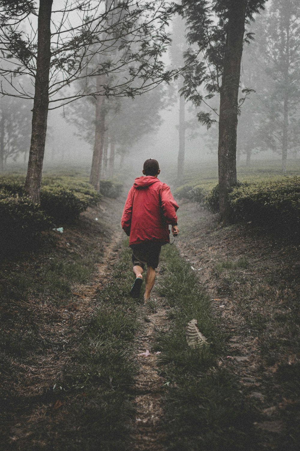 man in red hoodie walking on pathway in between trees during daytime