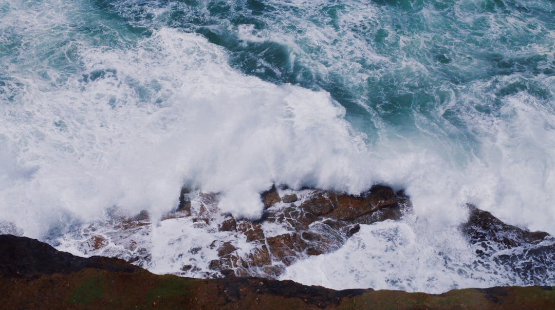 Shore photo spot Newcastle NSW NSW