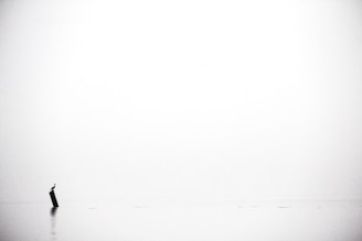 black textile on white textile