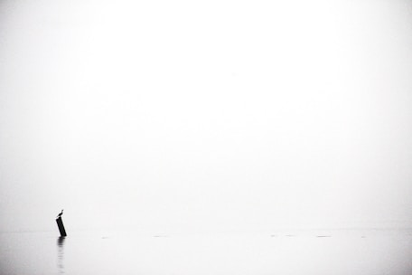 black textile on white textile