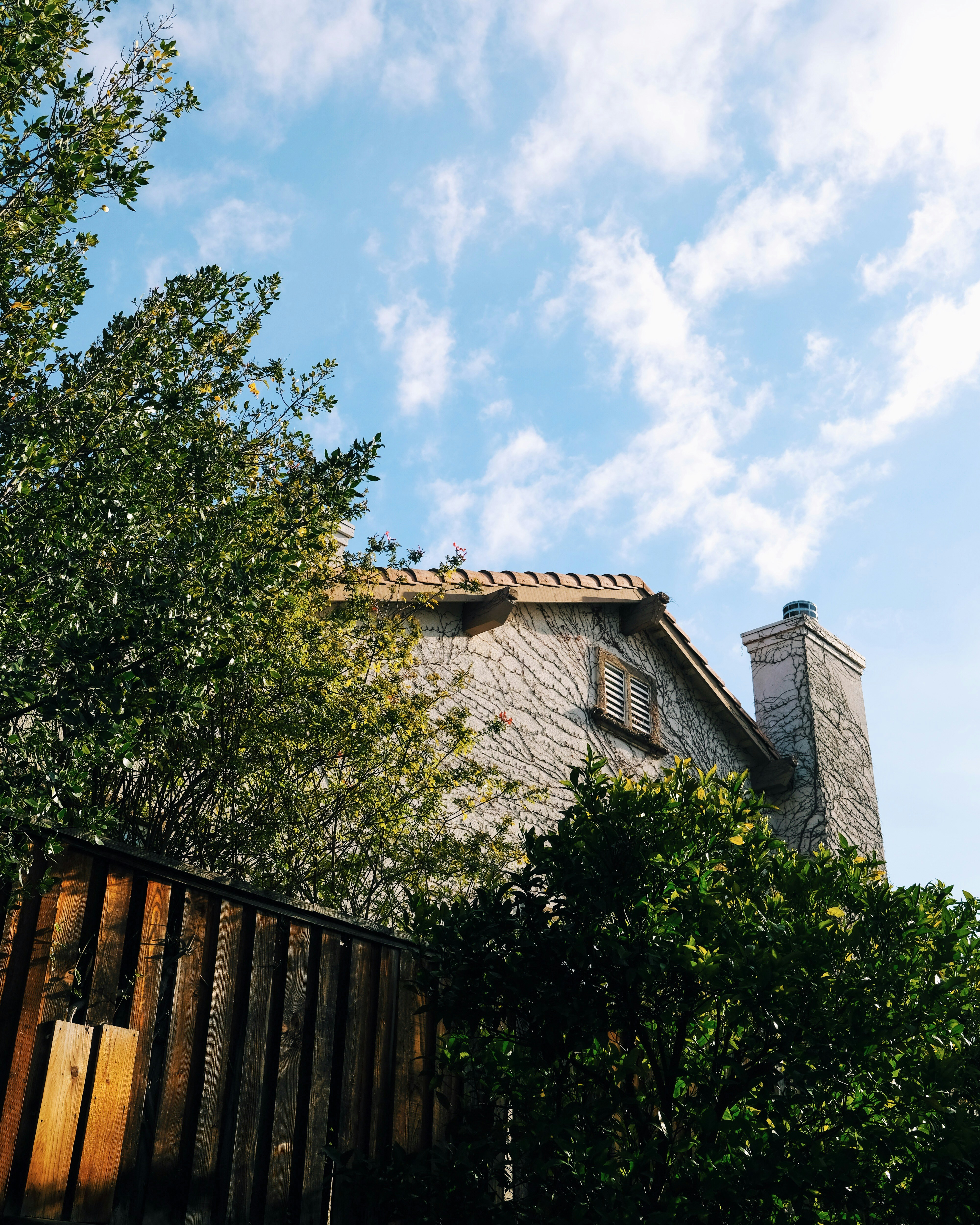 Photo by giorgiotrovato