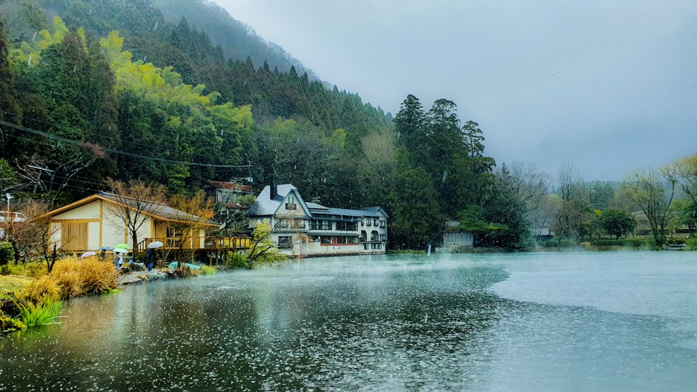 white and brown house near green trees and lake during daytime