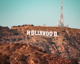 brown and white hollywood sign