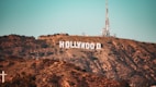 brown and white hollywood sign