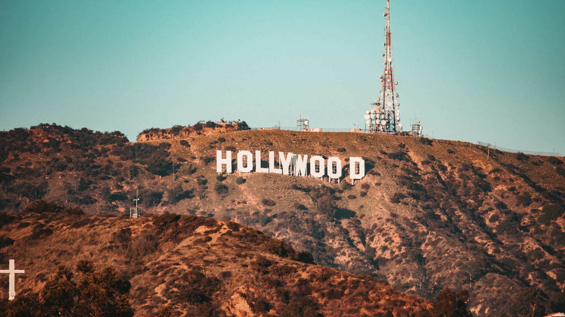 brown and white hollywood sign