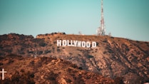 brown and white hollywood sign