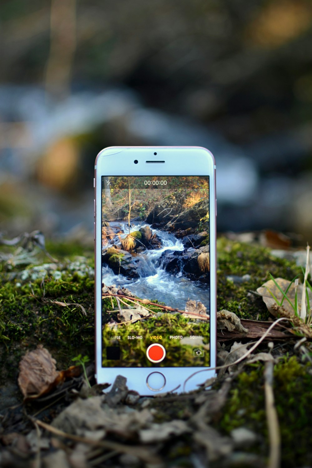iPhone 6 plateado sobre hojas secas marrones