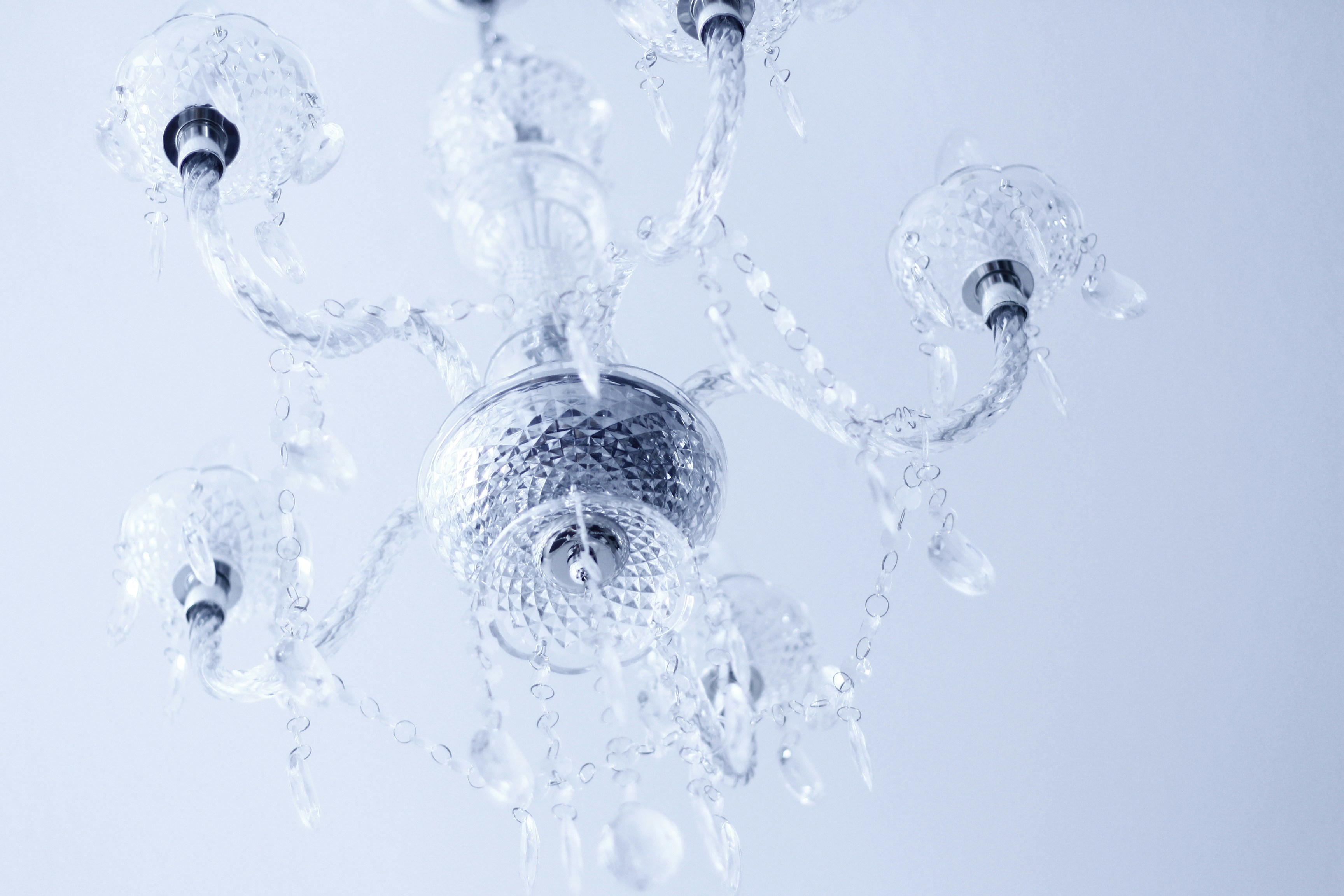 Photo by eduardocanophotoco