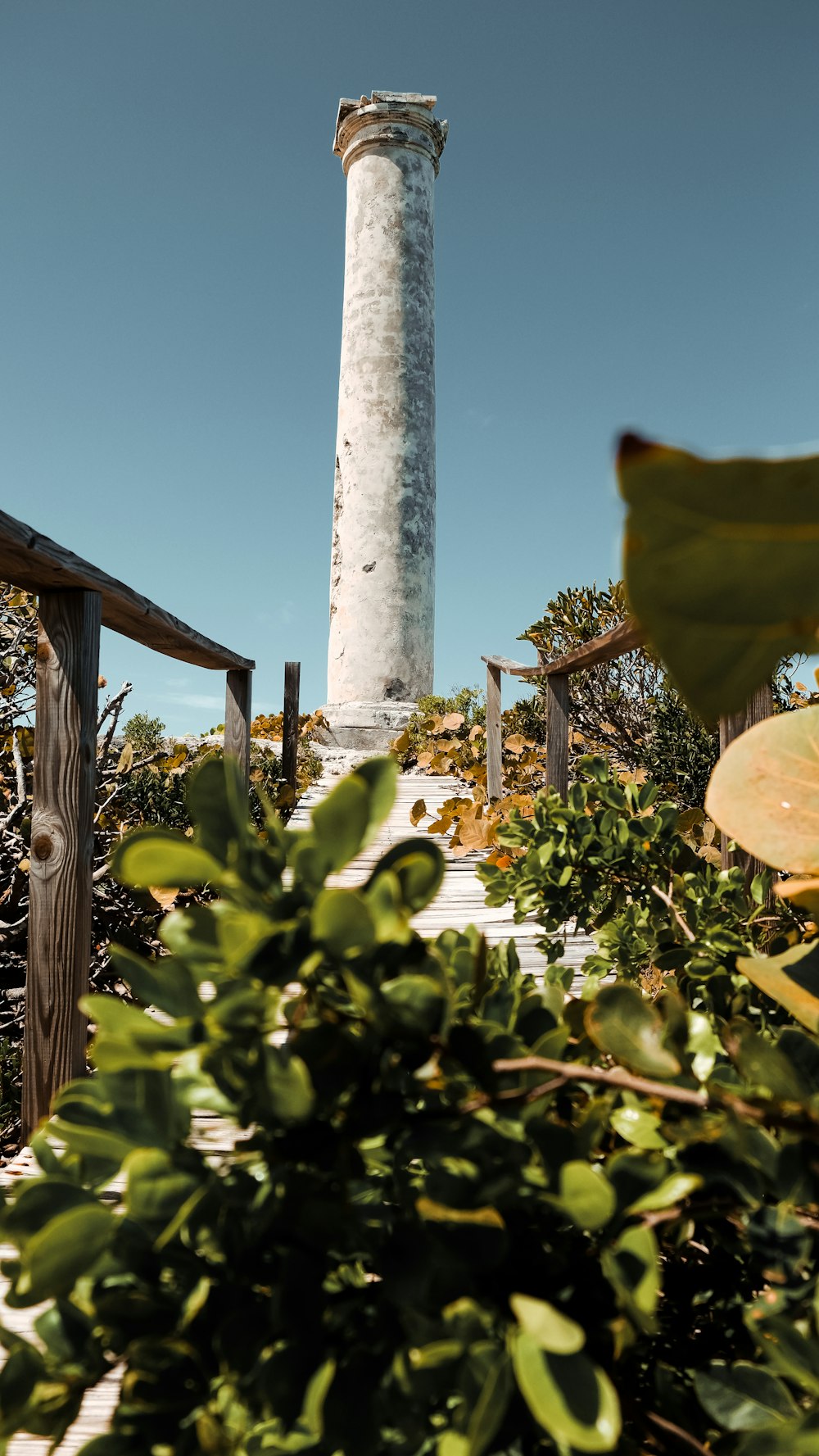 torre di cemento bianco vicino a piante verdi durante il giorno