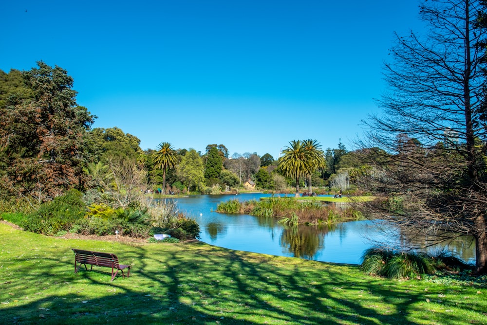 brown wooden bench near green grass field and lake during daytime