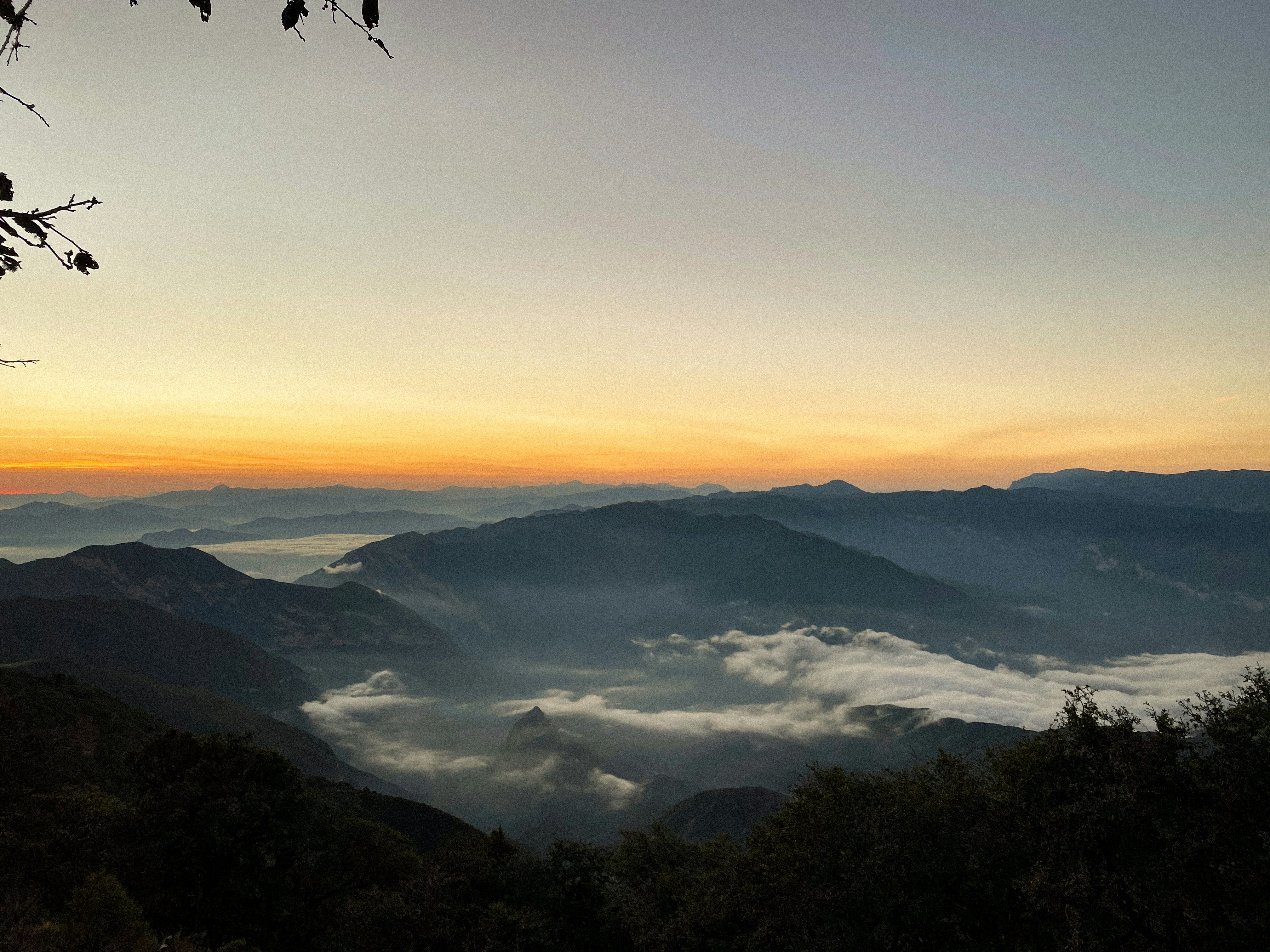 Photo by idannzepeda