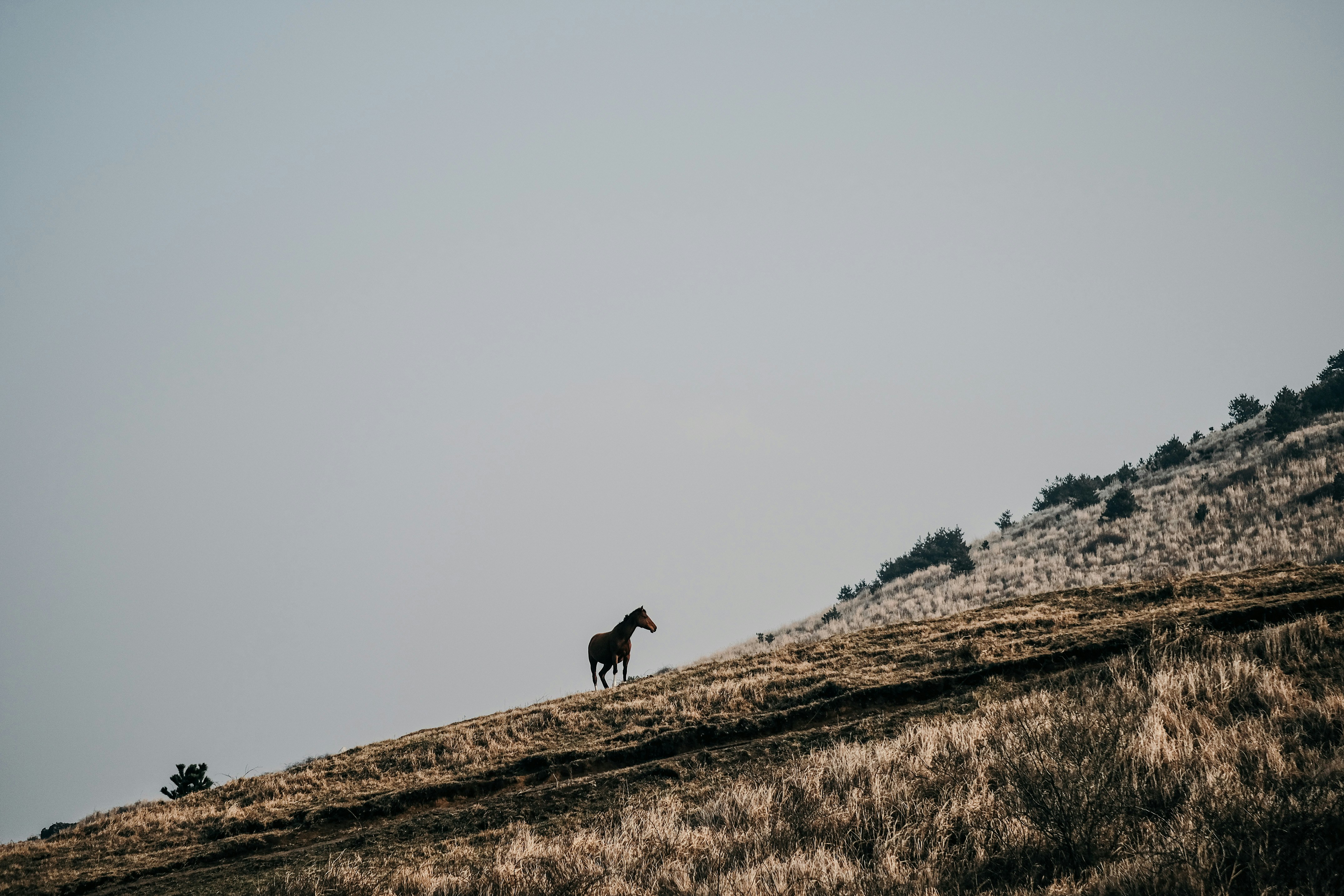 Photo by insungpandora