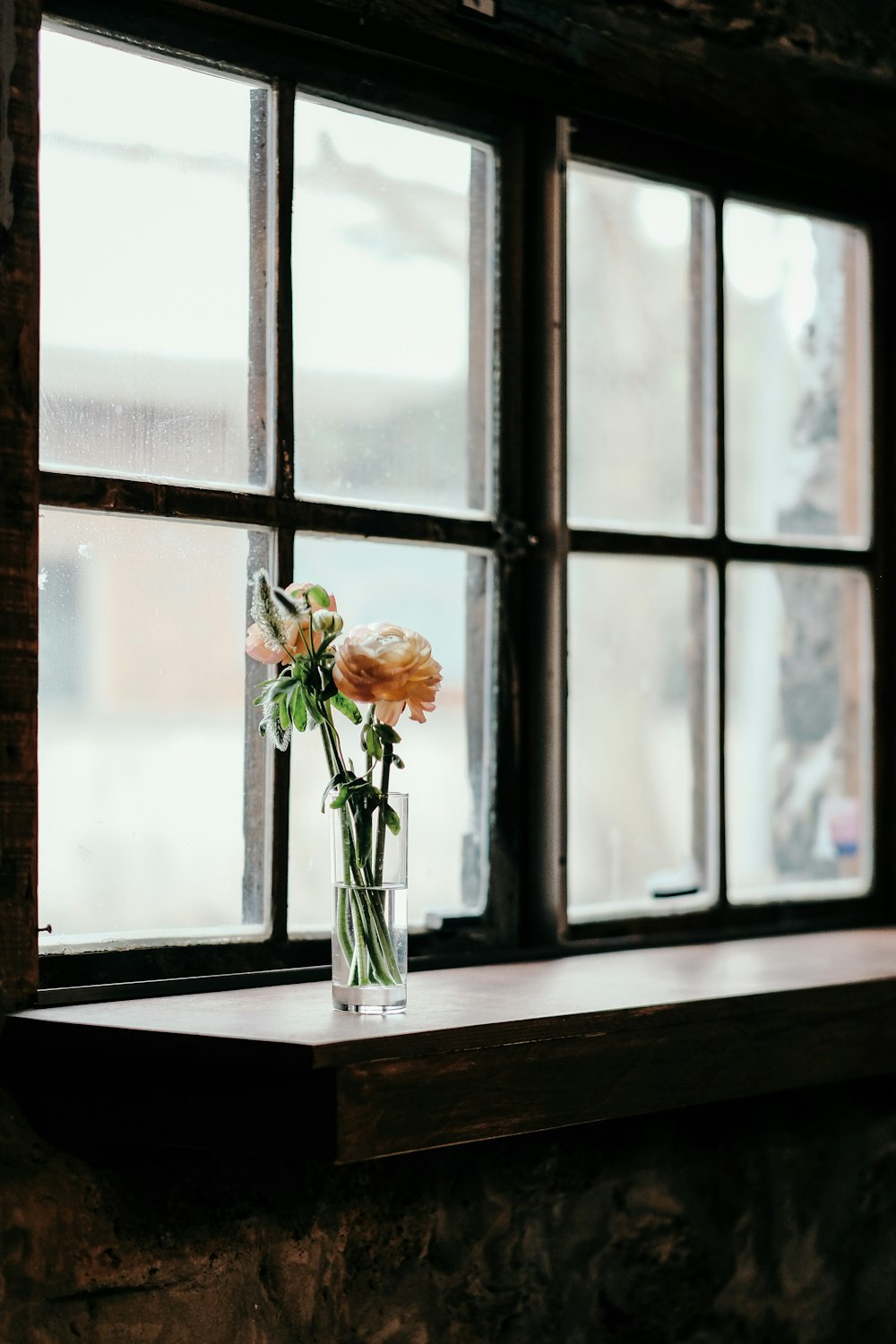 yellow and white flower on clear glass vase