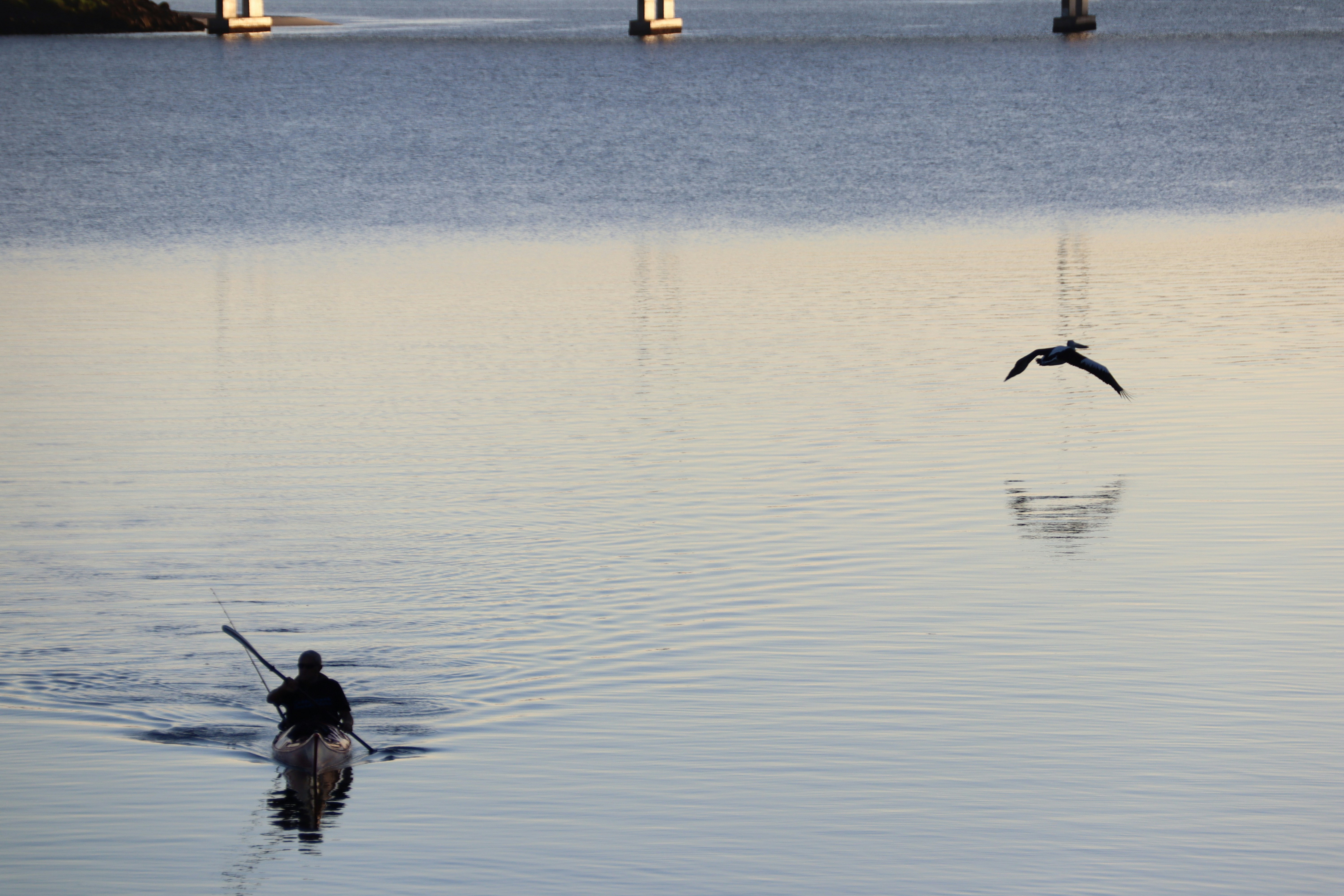 Photo by barneyrubble