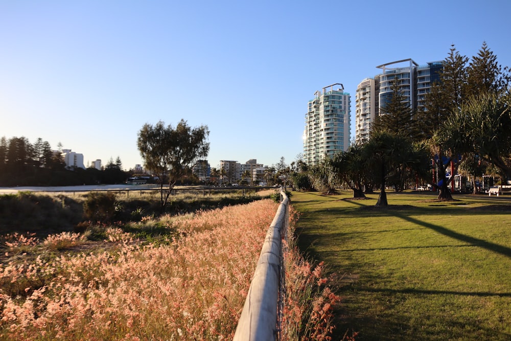 green grass field near city buildings during daytime