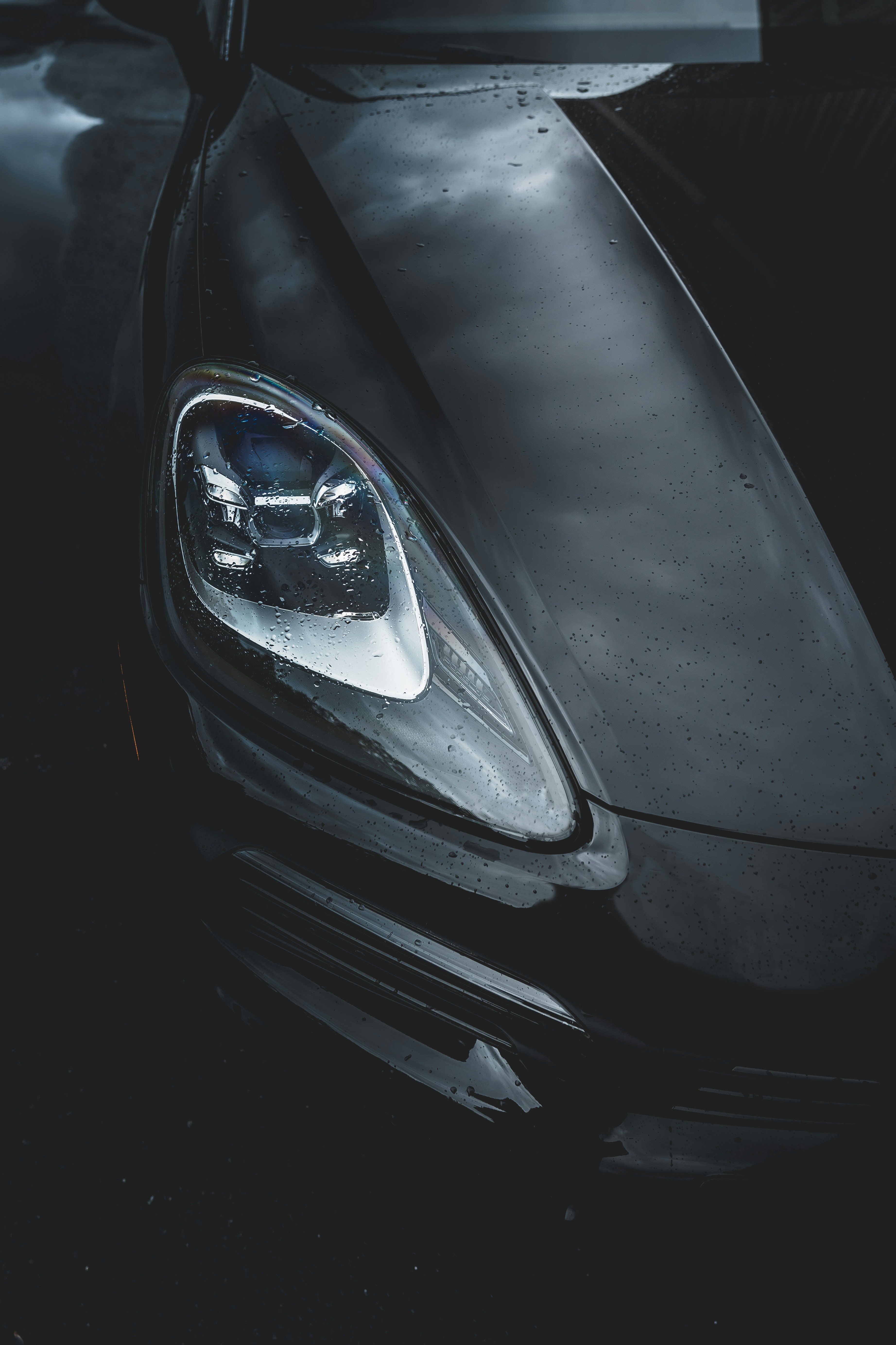 Photo by mike_marchi